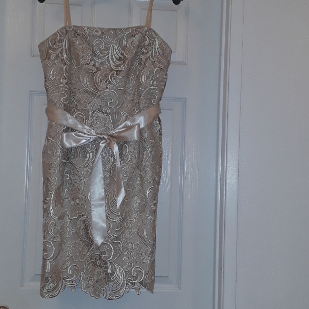 Beige lace Adrianna Papell Dress